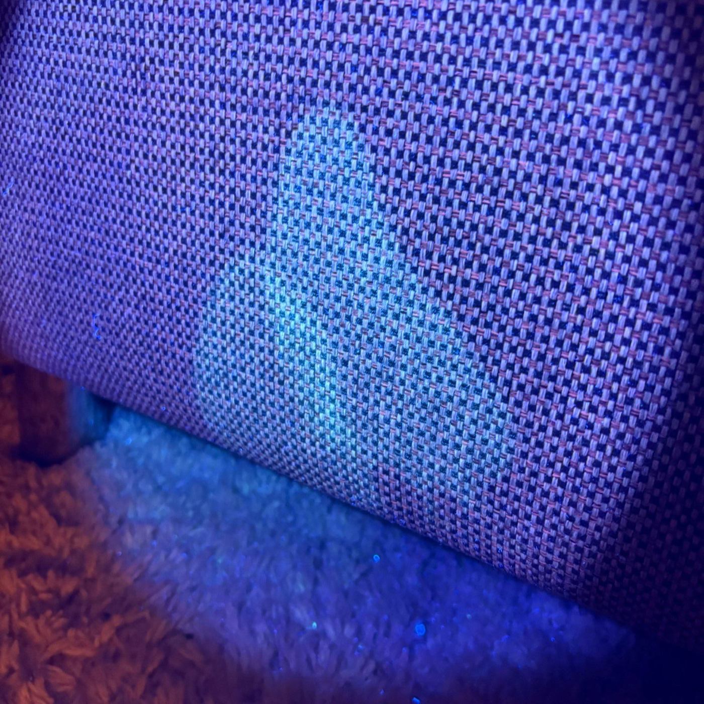 Urinevlek zichtbaar onder UV-licht